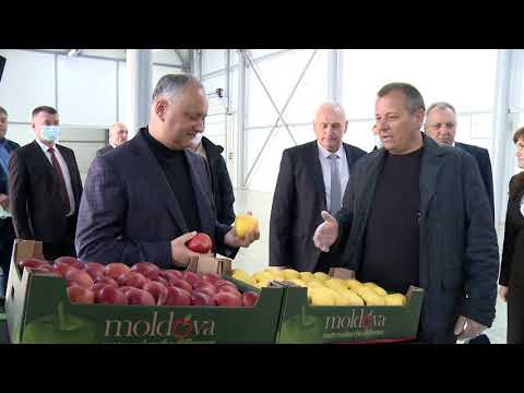 Șeful statului s-a familiarizat cu activitatea a două întreprinderi din raionul Briceni