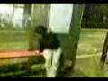 Bus stop Slap *)