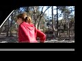 Our land in Clunes, Australia