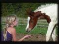1/2 Arabian Chestnut Tobiano Filly For Sale