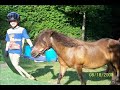 Eric and Montey - July 28 to September 4