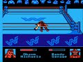 yes, i did another wwf game. the reason is because i already had a few wff game roms downloaded. anyway, this is based the wwf pay-per-view/wrestling tournament. it includes wrestlers such as bret hart, shawn michaels, the undertaker, macho man, and more. enjoy. send any requests to me.