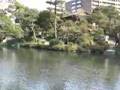 京都　桜　枳穀邸（渉成園）　2007/04/06