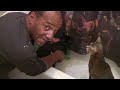 The best way to  give your cat a bath