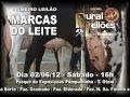 1º Leilão Marcas do Leite