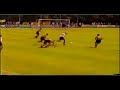 Panna fantastic Panna fantastic