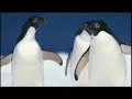 AAAS Evolution Video