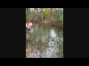 Winter Trout Fishing in the Poconos Winter Trout Fishing in the Poconos