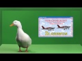 Liberad al Pato Willix "Publicidad falsa"