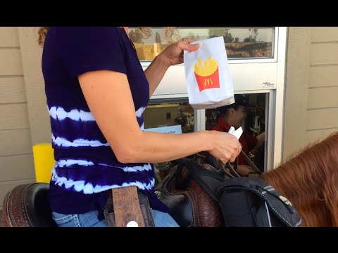 how to drive a horse