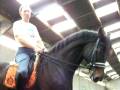 PLR Patrick Le Rolland Dressage Pirouette Yann Simon 3.3