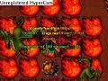 Tibia Deeper Fibula Quest.
