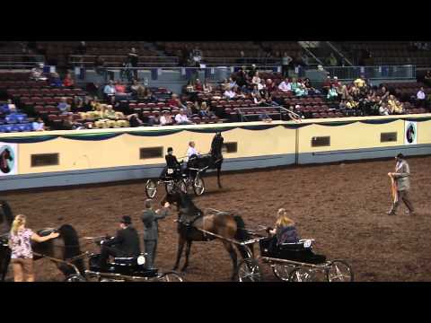 grand national 2012 grand national 2012