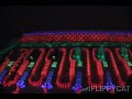 ドミノ動画