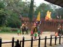Samphran elephant park