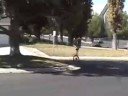 Broox giraffe unicycles! Broox giraffe unicycles!