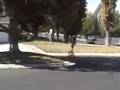 Broox giraffe unicycles!