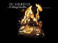 Cinematics Keep Forgetting Video and Lyrics