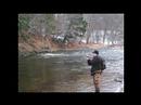 Steelhead DSR Salmon River NY January 08