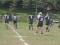 coyotes mini video