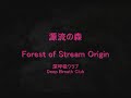 Forest of Stream Orijin 源流の森