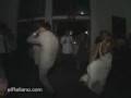 videos de Noivos Doidos
