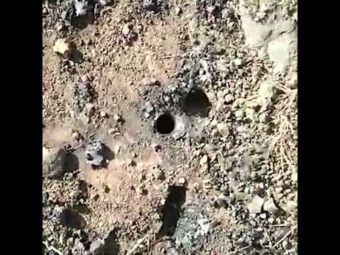 વાંકાનેર પાસે જમીનમાંથી ધગ- ધગતો લાવા જેવો પ્રવાહી નીકળ્યો....જુઓ વિડીયો...

#RBNewsMorbi