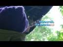 NEW AGE POETRY: Outcome - November 27, 2008