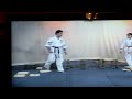 wu shu karate woman karate