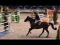Forever D'arco Ter Linden
