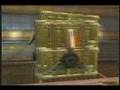 Halo 3 - Viagra glitch