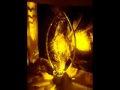 The Portal