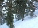 June Mountain - bluebird day