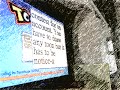 Toontown Drawing contest being held for 10 people