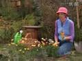 Dharma & Greg S03E16 Part 2