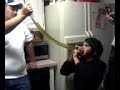 jose beer bongs jose beer bongs