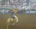 horse riding horse riding