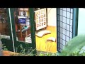 Het Wuiver na stortbui weer helemaal blank Het Wuiver na stortbui weer helemaal blank