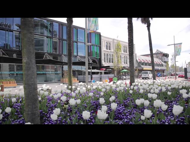 UC International Students