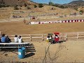 Camel Races Virginia City Nevada Camel Races Virginia City Nevada