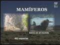 ancash-peru-y-sus-atractivos-turisticos.html