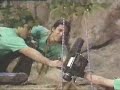 rctv-mensaje-navide-o-1993-.html