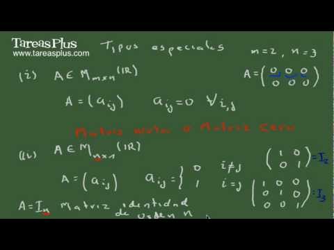 Regístrate para ver este video