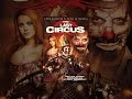 The Last Circus