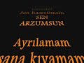 sen bensin benimsin
