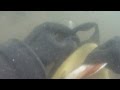 Lake Ronkonkoma Coconut Expedition