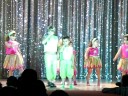 DIPUTADA PRESENTACION2