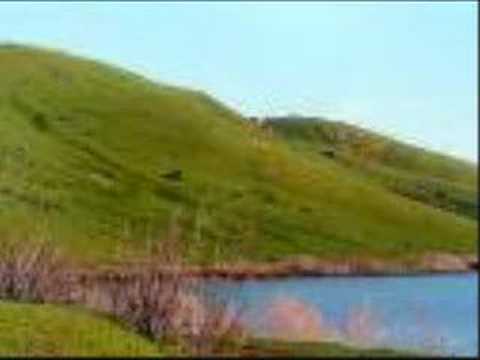 traditional irish music newbridge town