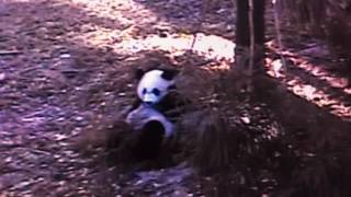 Smithsonian National Zoo