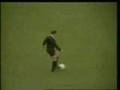 funny referees